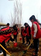 ̩ɽ�幤���ϻ�3��12��ֲ